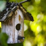 Vogelfutterhaus im Garten