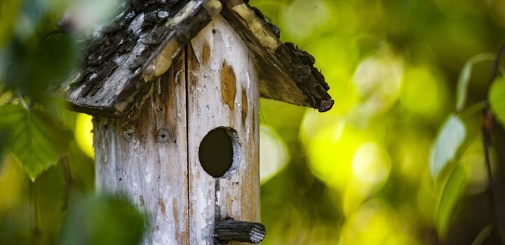 Vogelfutterhaus im Garten Vogelfutterhaus im Garten